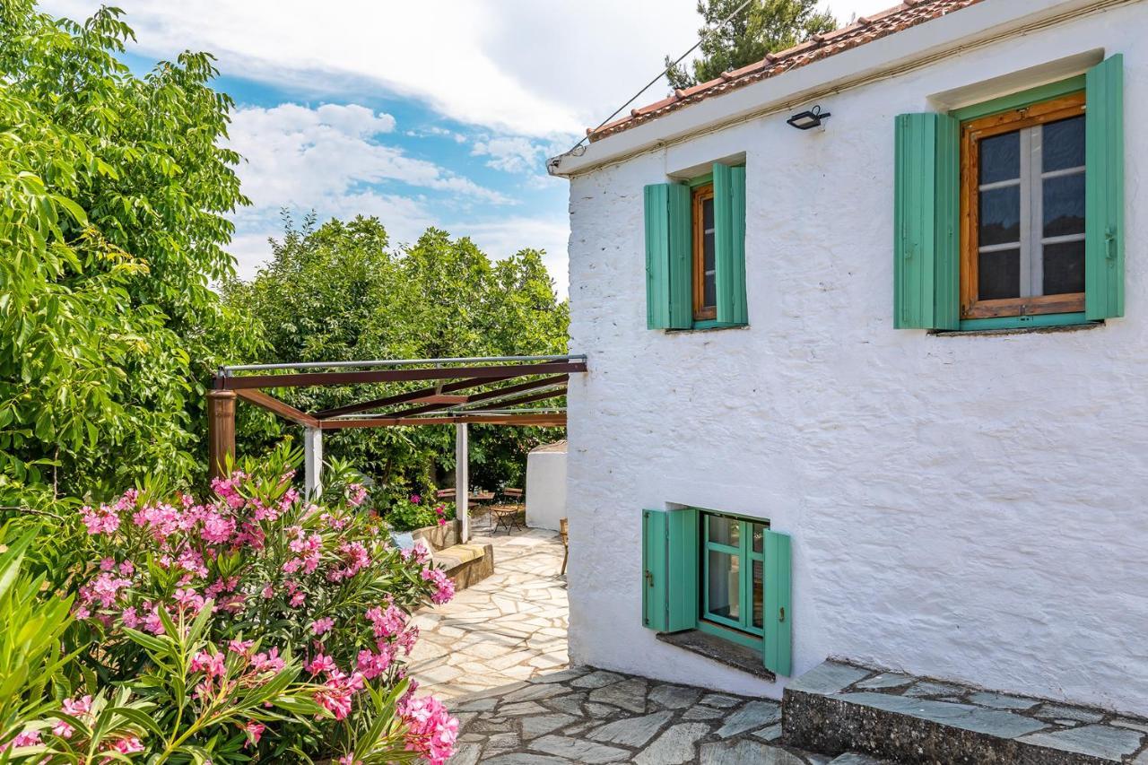La Belle Merle Panormos (Skopelos) Exterior foto