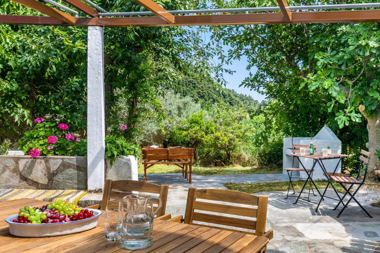 La Belle Merle Panormos (Skopelos) Exterior foto